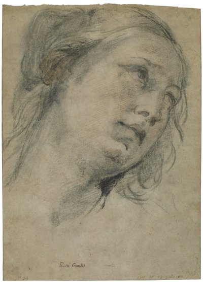 向上看的年轻女子的头，c.1609（黑色和红色粉笔与棕色纸上的白色粉笔接触） 作者 吉多·雷尼（Guido Reni）