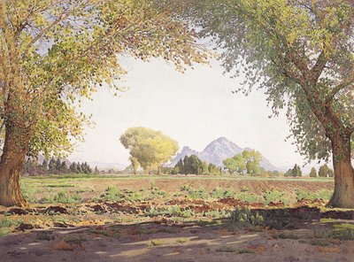 盐河谷（带纸和水粉画） 作者 冈纳·维德福斯
