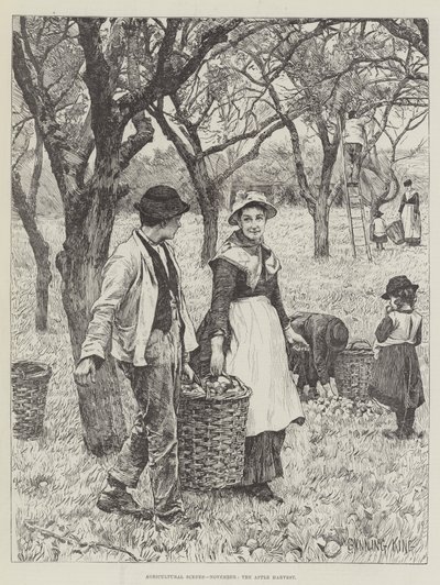 农业场景，十一月，Apple Harvest 作者 枪王