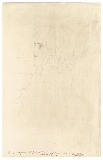 一名妇女的画象外形的与被翻动的衣领 作者 古斯塔夫·克里姆特