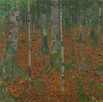 桦木森林，1903年。 作者 Gustav Klimt