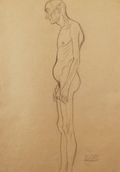 裸体男人赤裸的男人， 作者 Gustav Klimt