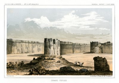 美国华盛顿州大库里，1856年 作者 古斯塔夫·索洪