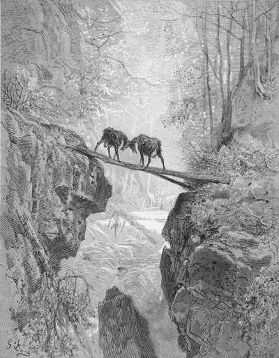 两只山羊，出自拉封丹的《寓言》，由A. Ligny雕刻，约1868年（雕刻）。 作者 古斯塔夫（之后）多尔