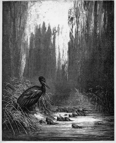 les poisson et le cormorant - 鱼和鸬鹚 - 来自Jean de La Fontaine (Lafontaine)(1621-95)的《寓言》--根据Gustave Dore (1832-83)的作品雕刻 - 私人收藏 作者 古斯塔夫（之后）多尔