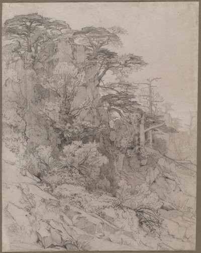 岩石山坡上的树木 作者 古斯塔夫·阿奇勒·纪尧姆