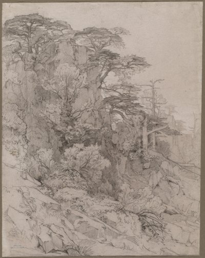 19世纪末，岩石山坡上的树木。 作者 古斯塔夫·阿奇勒·纪尧姆