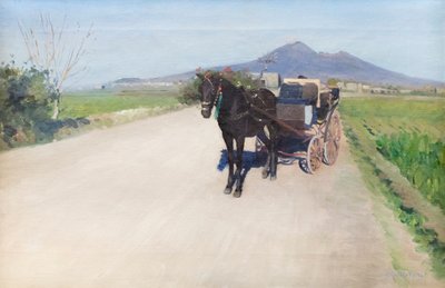 那不勒斯的一条路，约 1872 年（布面油画） 作者 古斯塔夫·卡耶博特
