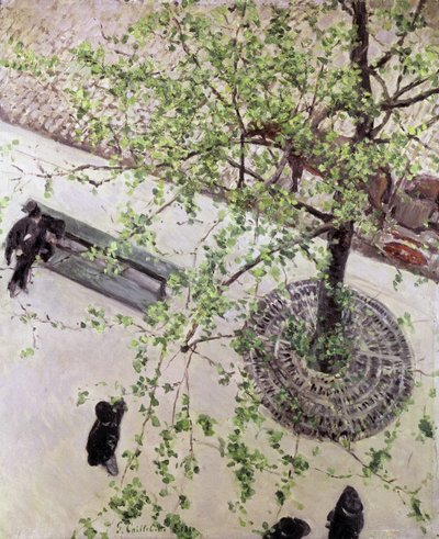 从上方眺望的林荫大道，1880年 作者 古斯塔夫·卡耶博特