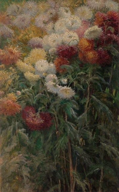 Petit-Gennevilliers花园里的菊花 作者 古斯塔夫·卡耶博特