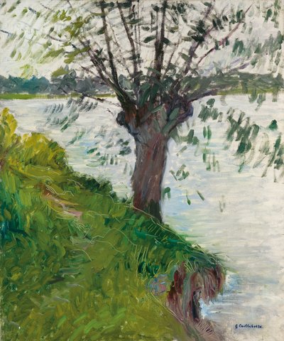在河边的柳树； Saule au bord de la riviere，角1891年 作者 古斯塔夫·卡耶博特