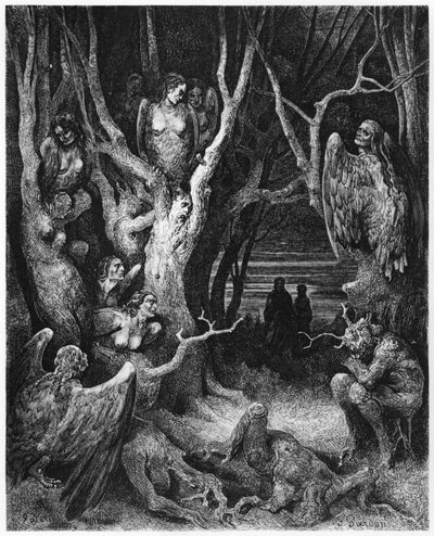 Harpies，来自&39;The Divine Comedy&39;（Inferno）的插图作者：Dante Alighieri（1265-1321）巴黎，1885年出版 作者 古斯塔夫·多尔（Gustave Dore）