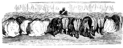 圣俄罗斯的历史。 1854年在冬宫举行的盛大舞会。 作者 古斯塔夫·多尔（Gustave Dore）