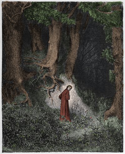 Inferno，Canto 1：Dante in the wildvage wood，Dante Alighieri的“The Divine Comedy”插图，1885年 作者 Gustave Dore