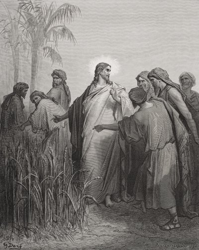 玉米田里的耶稣和他的门徒，来自多尔的“圣经”的插图，由Pannemaker雕刻，1866年 作者 古斯塔夫·多尔（Gustave Dore）