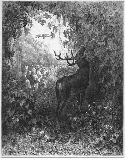 LE CERF ET LA VIGNE-鹿与藤-摘自Jean de La Fontaine的“寓言” 作者 古斯塔夫·多尔（Gustave Dore）