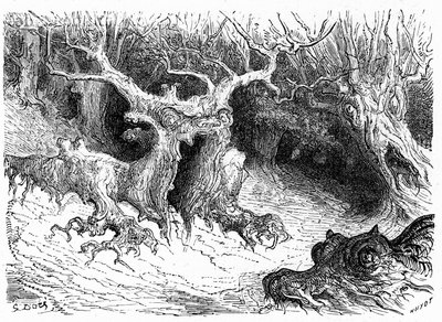 奥索山谷的怪异山毛榉，反形态怪树。古斯塔夫-多尔（Gustave Dore）为 1860 年出版的《希波吕特-泰恩的比利牛斯之旅》（Voyage aux Pyrenees d