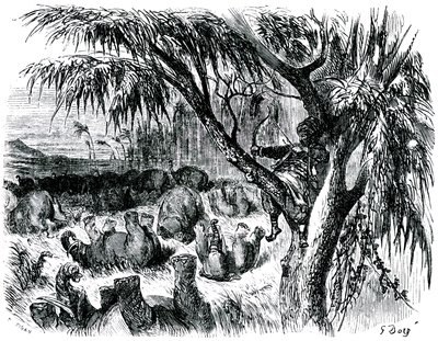 水手辛巴达（Sinbad）--一千零一个（1001）夜晚的故事--古斯塔夫-多尔（Gustave Dore）绘制的插图--1865 年马克斯韦尔版--第七次航行：辛巴达，栖息在树上，用船头拉动大象 作者 古斯塔夫·多尔（Gustave Dore）