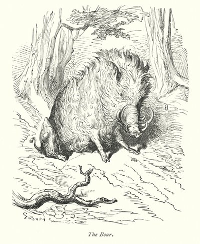野猪（雕刻） 作者 古斯塔夫·多尔（Gustave Dore）