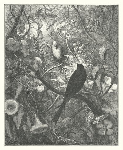 拉封丹的寓言：菲洛梅尔和普罗涅（版画） 作者 古斯塔夫·多尔（Gustave Dore）