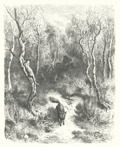 拉封丹寓言：猫和狐》（版画） 作者 古斯塔夫·多尔（Gustave Dore）
