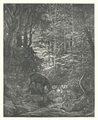 拉封丹的寓言：溪流中的雄鹿在观看自己（雕刻） 作者 古斯塔夫·多尔（Gustave Dore）