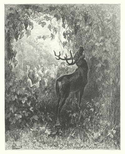 拉封丹寓言雄鹿与葡萄树（雕刻） 作者 古斯塔夫·多尔（Gustave Dore）