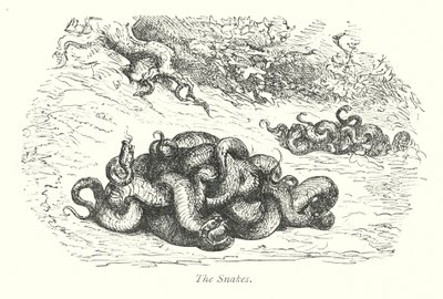 蛇（雕刻） 作者 古斯塔夫·多尔（Gustave Dore）