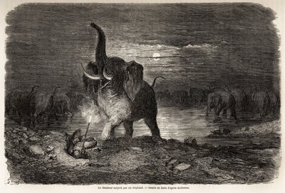 古斯塔夫·多尔（1832-1883 年）在 Ngami 湖（博茨瓦纳）附近被一头大象惊呆了，这幅画描绘了查尔斯·让·安德森 (Charles Jean Anderson) 在南部非洲的冒险和狩猎。 雕刻在“”Le tour du monde, nouveau journal des voyages””巴黎 作者 古斯塔夫·多尔（Gustave Dore）
