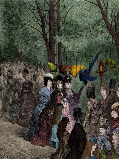 这只鹦鹉在Doré的维多利亚时代伦敦动物园散步 作者 古斯塔夫·多尔（Gustave Dore）
