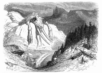 古斯塔夫-多尔（Gustave Dore）于 1850 年左右绘制的版画：描绘了一场世界末日的大洪水，洪水过后，各种怪兽落在山上。伊波利特-泰恩（Hippolyte Taine）《比利牛斯山之旅》一书的插图，书中出现了骨骼化石 作者 古斯塔夫·多尔（Gustave Dore）