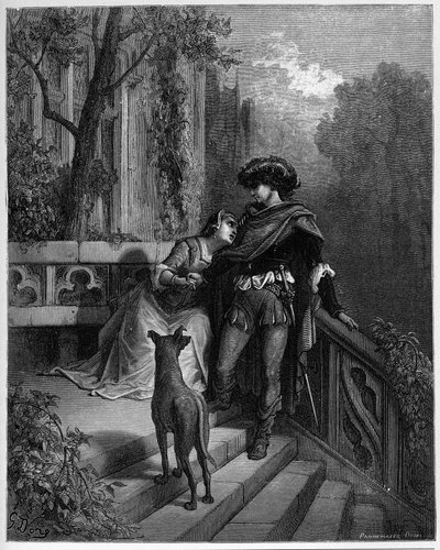 勒·迪乌斯（Le deux）鸽系-赛鸽“让·德拉·方丹”（Jean de La Fontaine）的“寓言”鸽 作者 古斯塔夫·多尔（Gustave Dore）