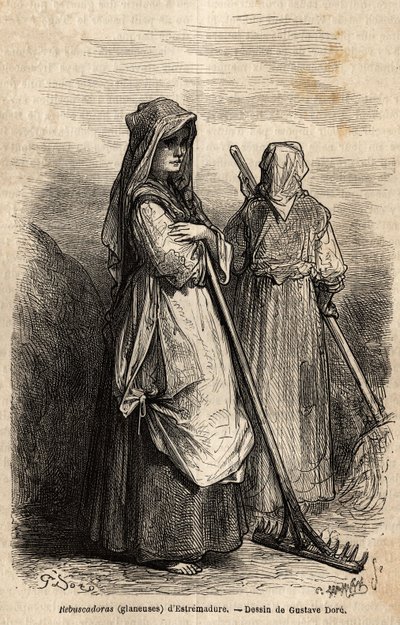 the gleaners of Estremadure, with their large wooden rakes to pick up the part of the crop that was forgotten in the fields after the harvest. Engraving to illustrate the voyage to Spain by Gustave Dore (1832-1883) illustrator and Baron Ch. Davillier react 作者 古斯塔夫·多尔（Gustave Dore）