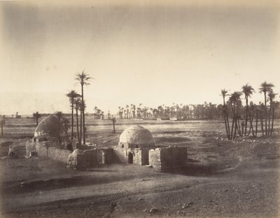 从卡尔纳克神庙拍摄的底比斯平原景色，1867年。 作者 古斯塔夫·勒格雷