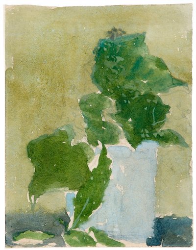 山谷中的百合花》，1896-1939年 作者 格温多琳·玛丽·约翰