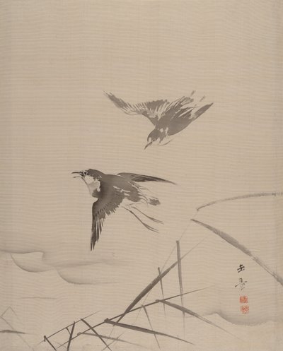 小鸟和竹子，1887-92。 作者 川端玉章