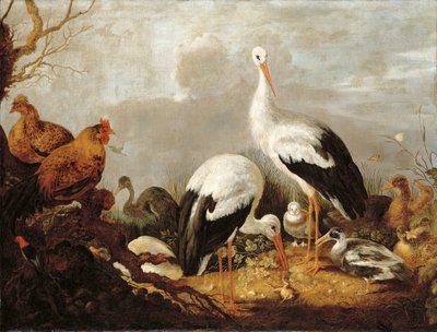鹳，绿头鸭，鸡，鹭，青蛙和其他鸟类在河道景观 作者 Gysbert Hondecoeter