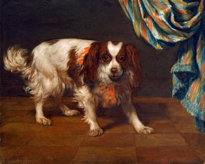 查尔斯王猎犬（油画） 作者 吉斯伯特范德库尔