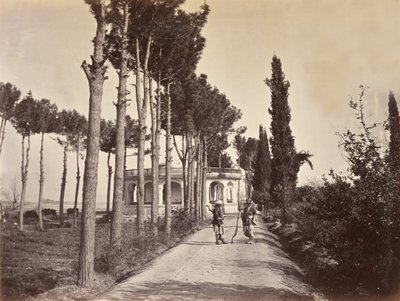 1878年，贾拉拉巴德，巴布尔花园中的阿富汗人 作者 夏鲁斯