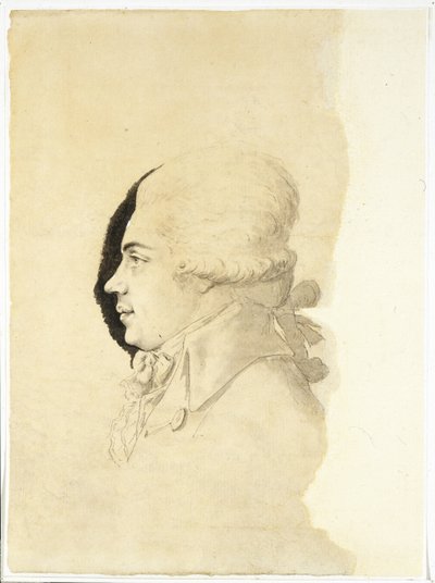 尼古拉-彼得罗维奇-鲁米扬采夫伯爵的肖像 1754-1826年，1780年代末 作者 锄