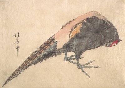 鸟，1830年代。 作者 白山神北井