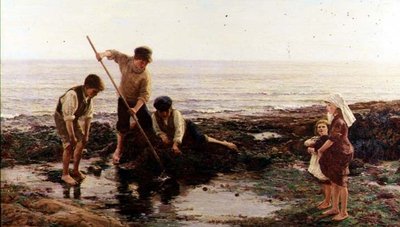 虾类 作者 汉密尔顿·麦卡勒姆（Hamilton Macallum）