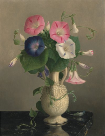 牵牛花瓶，无日期（木板油画） 作者 汉娜·布朗·斯基尔