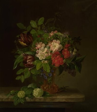 一杯春花 作者 汉娜海勒森