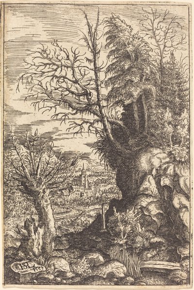 柳树的风景 作者 Hanns Lautensack