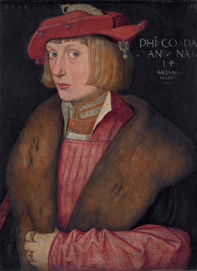 德文：Palatine Philip the Warrior Philip Bellicosus 伯爵 作者 汉斯·巴尔登·格里恩