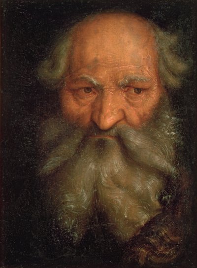 一位老人的头 作者 Hans Baldung Grien