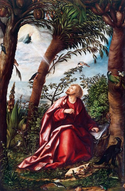 圣约翰在拔摩岛的异象，圣约翰祭坛画的细节 作者 汉斯·伯格克米尔