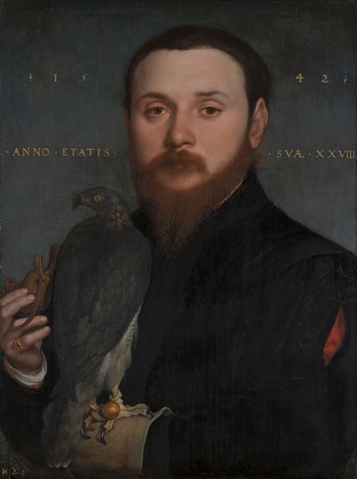 贵族的肖像与鹰，1542年 作者 Hans Holbein der Jüngere