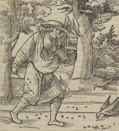鸟儿在吃播种者的种子，来自《Hymmelwagen auff dem, wer wol lebt...》，1517年。 作者 Hans Schäufelein the Elder